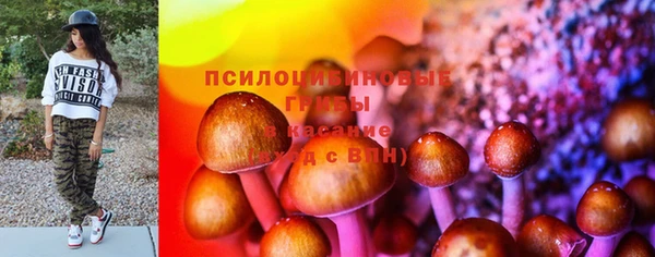 прущие крисы Дмитровск