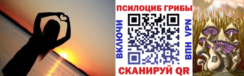 Галлюциногенные грибы прущие грибы  Завитинск 