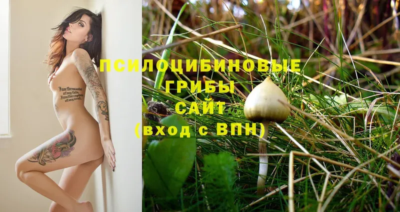 Псилоцибиновые грибы MAGIC MUSHROOMS  Завитинск 